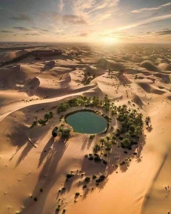 Egypt Safari Tours Baharyia Oasis 4 days / 3Nights